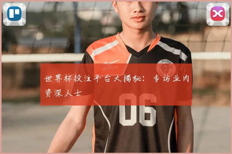 世界杯投注平台大揭秘：专访业内资深人士