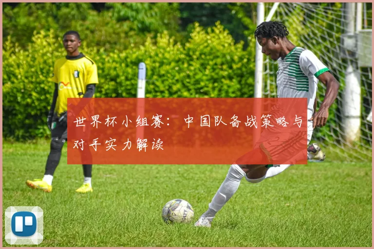 世界杯小组赛：中国队备战策略与对手实力解读