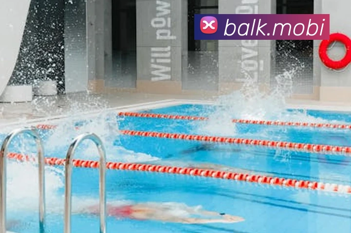 App Interface Preview