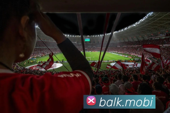 开云手机入口登录官网APP 封面图